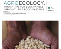 Agroecology: innovating for sustainable food systems and agriculture