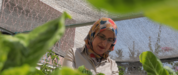 Jamelah Hasasnah, trabajando en el sistema hidropónico y acuapónico que funciona con energía solar en el Centro Al Basma de la Unión de Mujeres Árabes.