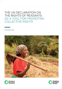 cover image for publication: The UN Declaration on the rights of peasants as a tool for promoting collective rights