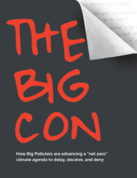 The Big Con report cover page