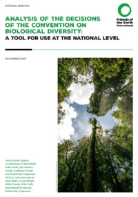 Analysis of the decisions of the Convention on Biological Diversity_english_cover