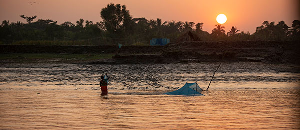 Two people fishing in the mangroves in Bangladesh