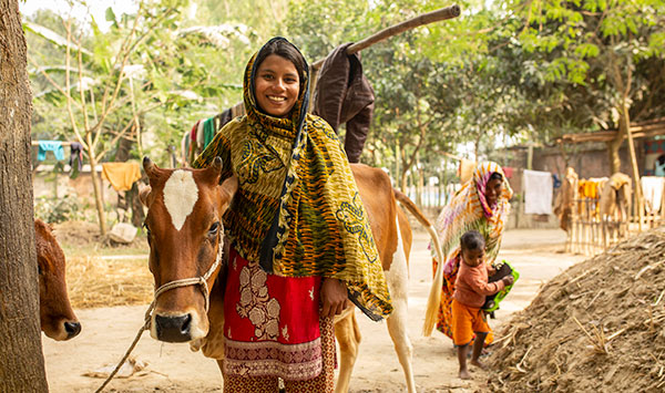 Women with working cow in village in Bangladesh.